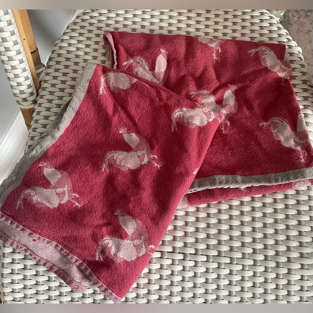 Williams Sonoma dish towels, GUC!